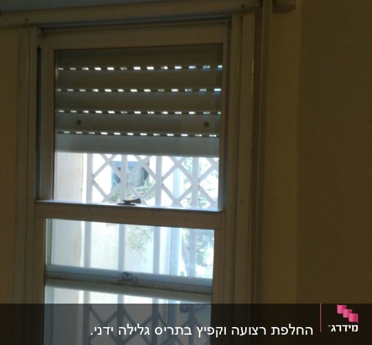 תריסים חצי פתוחים עם חריצים לאור